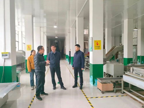 安康市農(nóng)技中心赴鎮(zhèn)坪開展春茶生產(chǎn)指導(dǎo)服務(wù)及信息技術(shù)咨詢